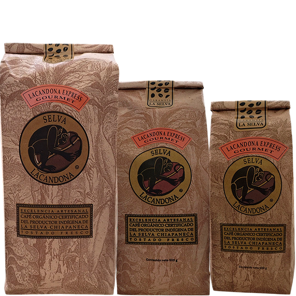 LC3 Lacandona Express