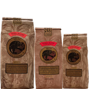 SMM3 Sierra Madre (T. Medio)